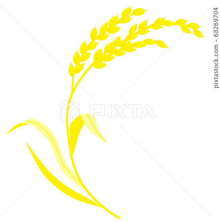 Illustration of rice 68269704