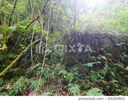 野豬谷 野豬谷 68269862