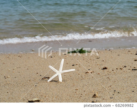 海星海星 68269982