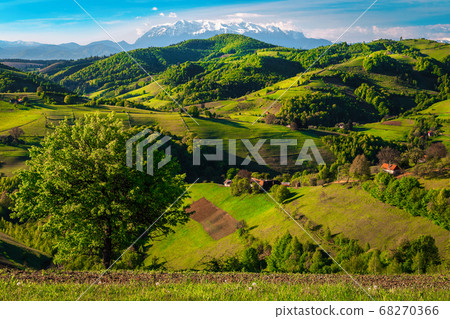 Spring landscape with green forest on the hills, Holbav, Romania Spring landscape with green forest on the hills, Holbav, Romania 68270366