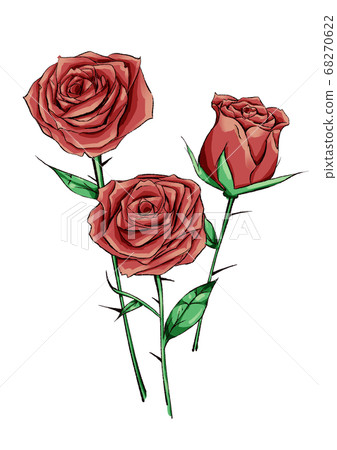 Three red roses - Stock Illustration [68270622] - PIXTA