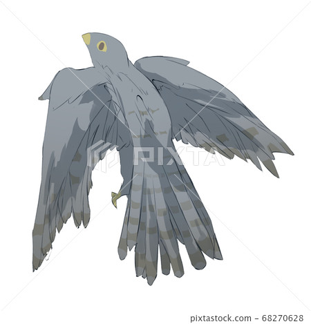 Falcon 68270628