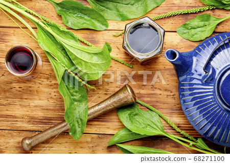 Plantain in herbal medicine Plantain in herbal medicine 68271100