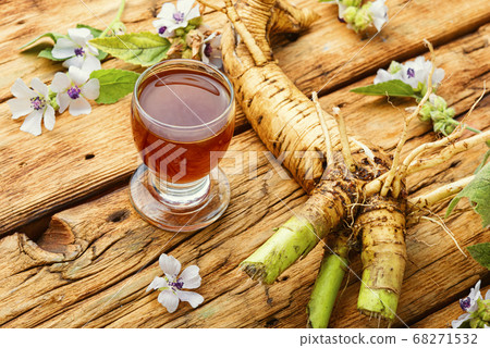 Althaea root in herbal medicine 68271532