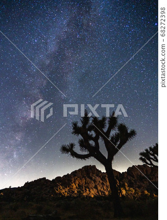 [USA] Milky Way in the desert 68272398