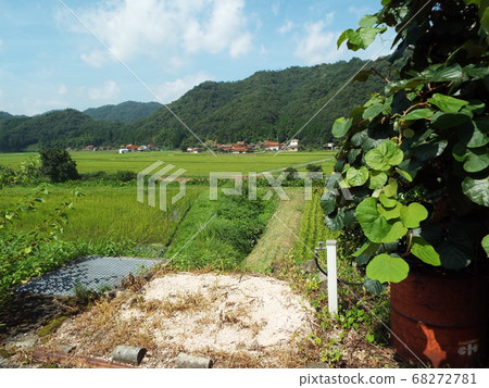 國家夏天 國家夏天 68272781