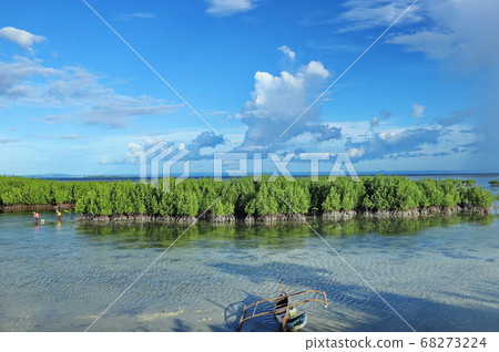 在開闊的藍天下吹散自我約束，將自己沉浸在熱帶國家 68273224