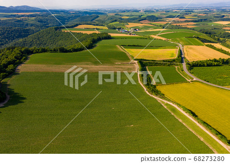 [Drone aerial shot] Superb view Bieicho patchwork 3 68273280