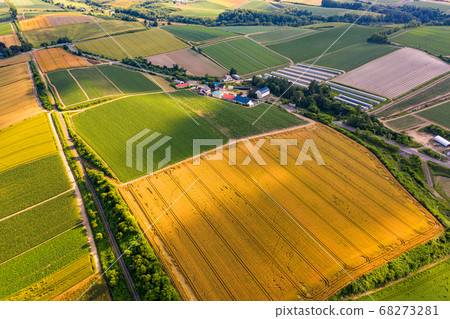 [Drone aerial view] Superb view Bieicho patchwork 4 68273281