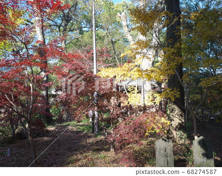 九州佛和佛教寺廟秋葉 九州佛和佛教寺廟秋葉 68274587
