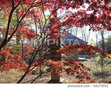Autumn leaves and stone towers Autumn leaves and stone towers 68274592