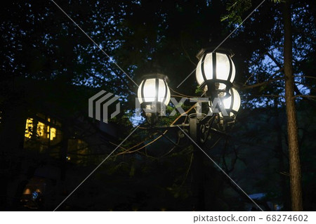 Lights in the forest 68274602