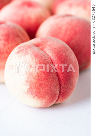 桃子/白桃x白羽=明月 68275649