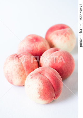 桃子/白桃x白羽=明月 桃子/白桃x白羽=明月 68275651