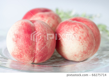 Peach/white peach x Hakuho = Akatsuki 68275714