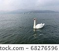 A place where swans are swimming elegantly. 68276596