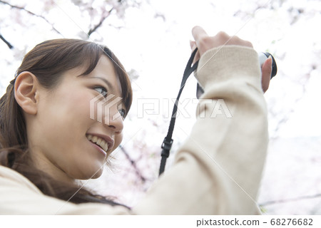 A woman taking a photo of cherry blossoms 68276682