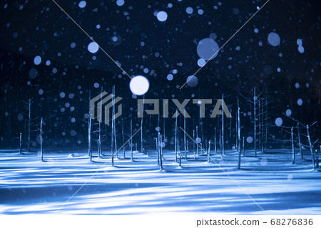 Fantastic snow falling on a pond in winter Fantastic snow falling on a pond in winter 68276836