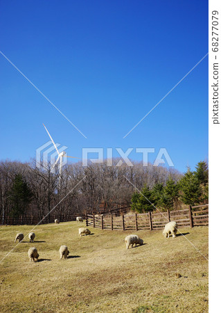 Sheep ranch Sheep ranch 68277079