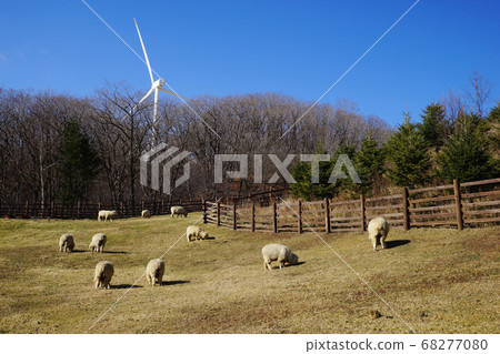 Sheep ranch Sheep ranch 68277080