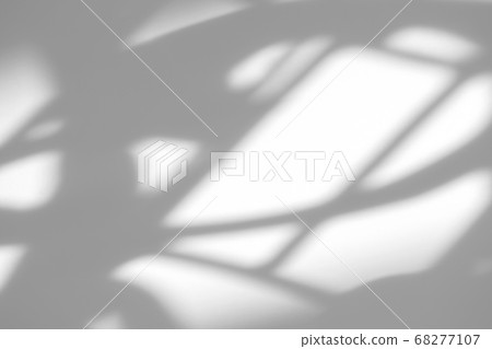 Organic drop shadow on a white wall 68277107