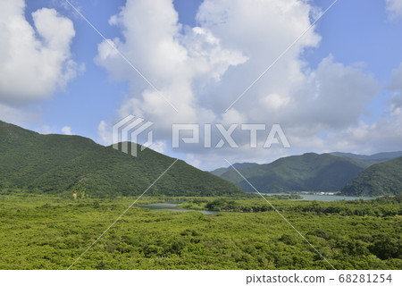 [鹿兒島縣Am美大島]紅樹林原始森林 68281254