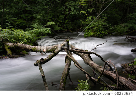 Oirase stream Oirase stream 68283684