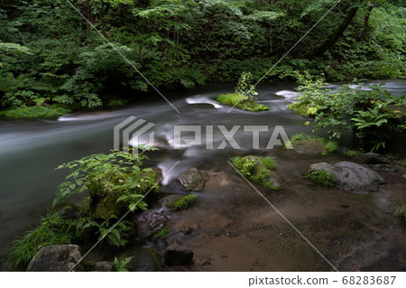 Oirase stream 68283687