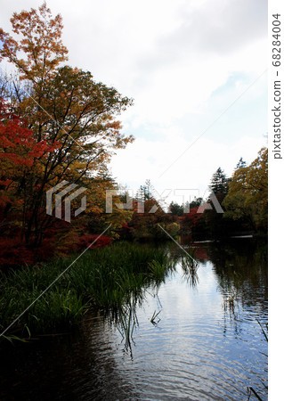 Autumn leaves of cloud field pond in cloudy sky-2018 68284004
