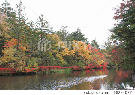 多雲的天空-2018年雲場池塘的秋葉 68284077