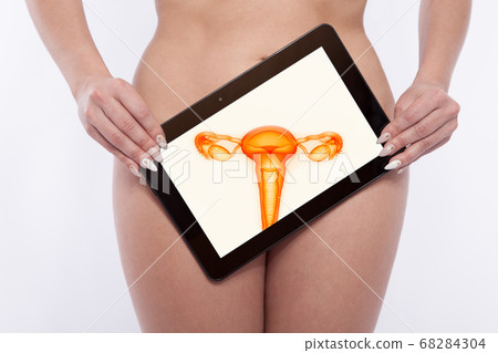 Screening of the reproductiv organs of a woman Screening of the reproductiv organs of a woman 68284304