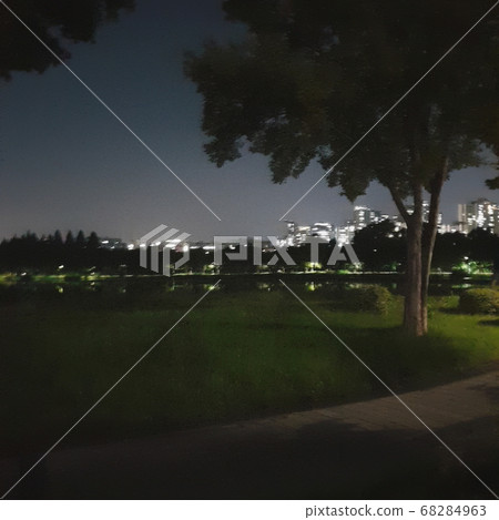Park night view 68284963