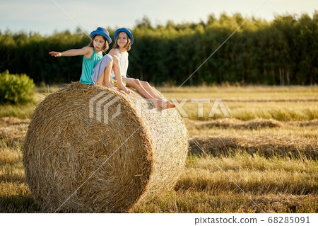 two charming girls are sitting on a roll of mown rye in a field 68285091