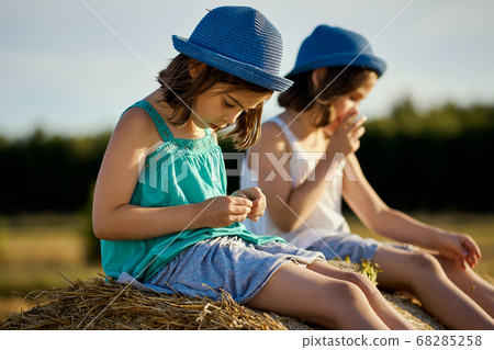 two charming girls are eating sunflower seeds on mown rye in the field two charming girls are eating sunflower seeds on mown rye in the field 68285258