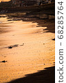 Beach at sunset 3 68285764