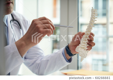 Doctor holding a model of a human spine 68288881