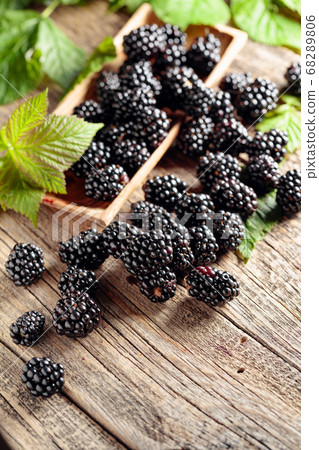 Ripe juicy blackberries with leaves on a wooden Ripe juicy blackberries with leaves on a wooden 68289806