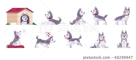 Cartoon dog. Happy flat playful puppy in different poses and doing tricks, cute comic pet with emotions. Vector set of playful animal activity 68289947
