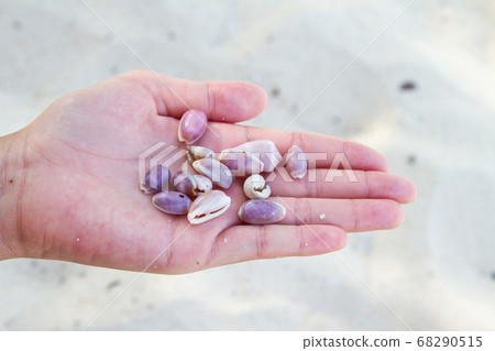 girl and sheels at the beach in Thailand girl and sheels at the beach in Thailand 68290515
