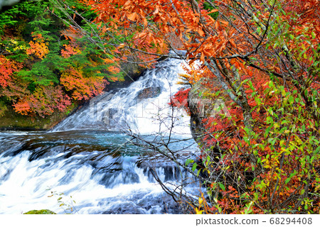 Oku Nikko, autumn leaves of Ryuzunotaki in autumn 68294408