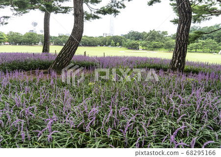 Olympic Park, Bangi-dong, Songpa-gu, Seoul, Korea 68295166