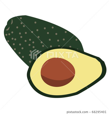 avocado illustration 68295401