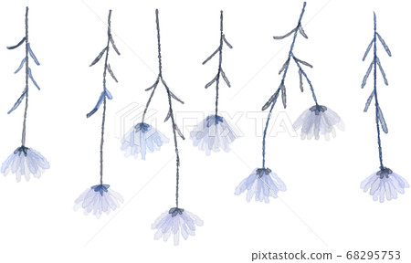Watercolor illustration of dried flowers 68295753