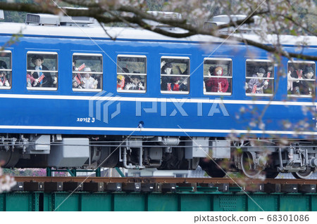 鳥取四季節步行春天若狹鐵路 鳥取四季節步行春天若狹鐵路 68301086
