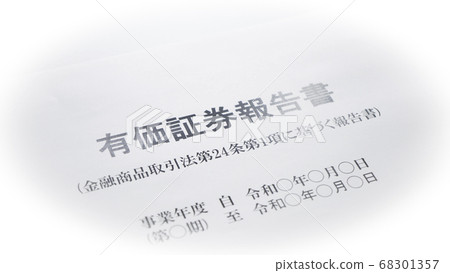 編制證券報告 68301357