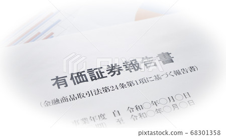 編制證券報告 68301358