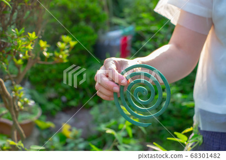 A woman with short sleeves has a mosquito coil in her right hand 68301482
