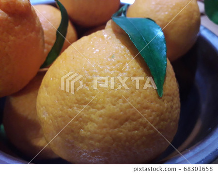 Fresh Hallabong Fresh Hallabong 68301658