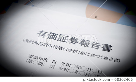 編制證券報告 68302406