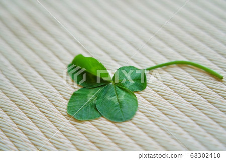 四片榻榻米上的葉子 68302410